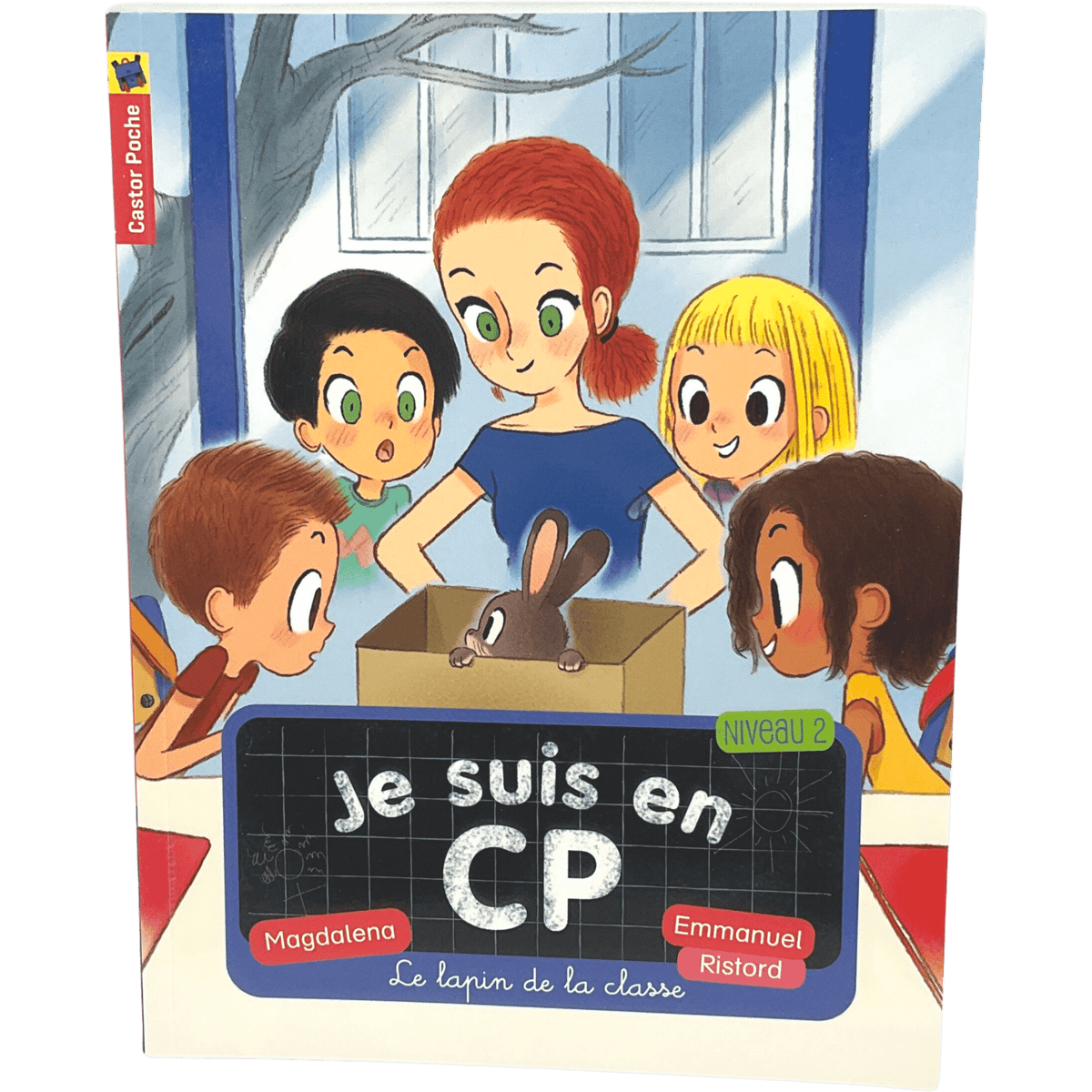 Je suis en CP Tome 12 Le lapin de la classe Flammarion d