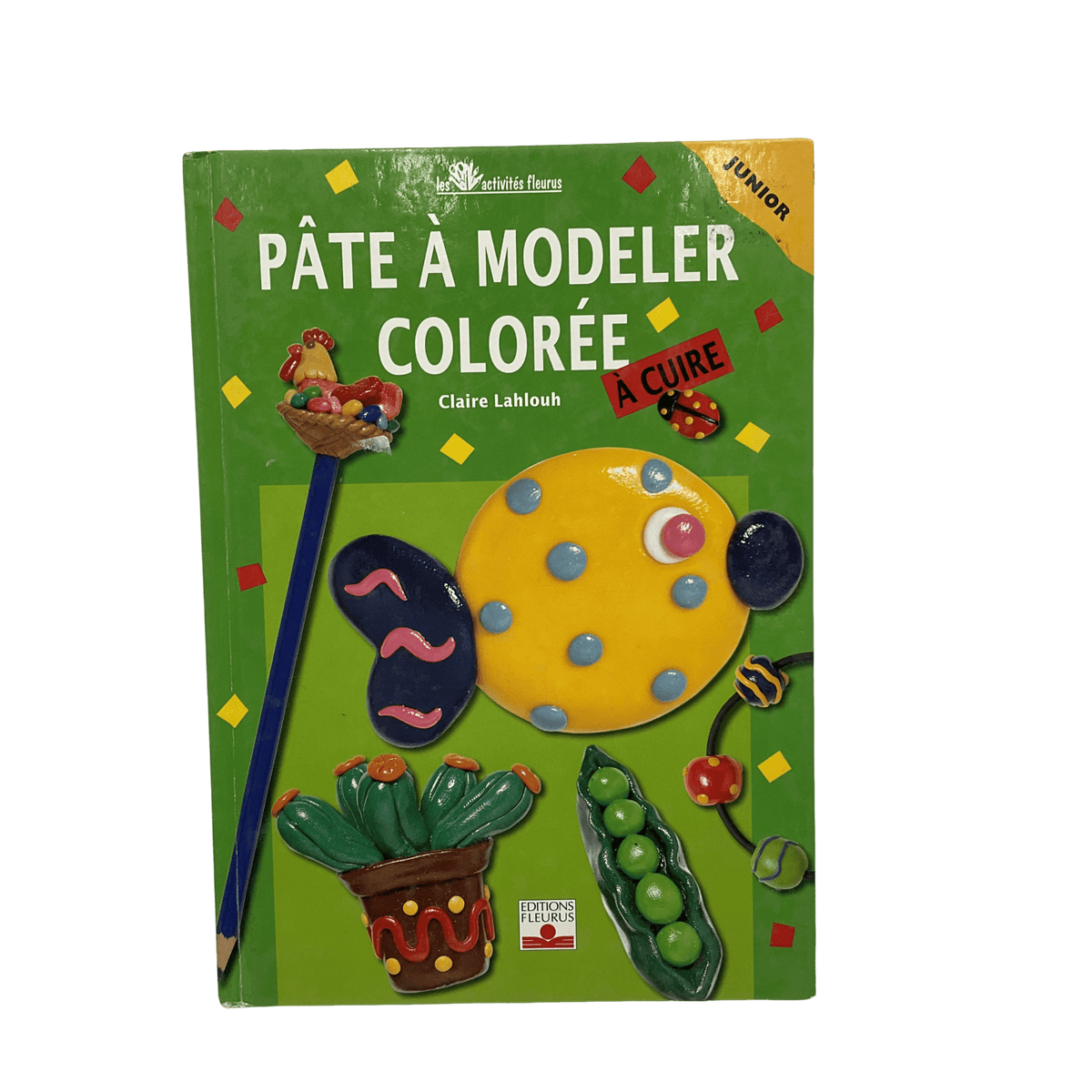 Recettes pâte à modeler colorée à cuire Fleurus d