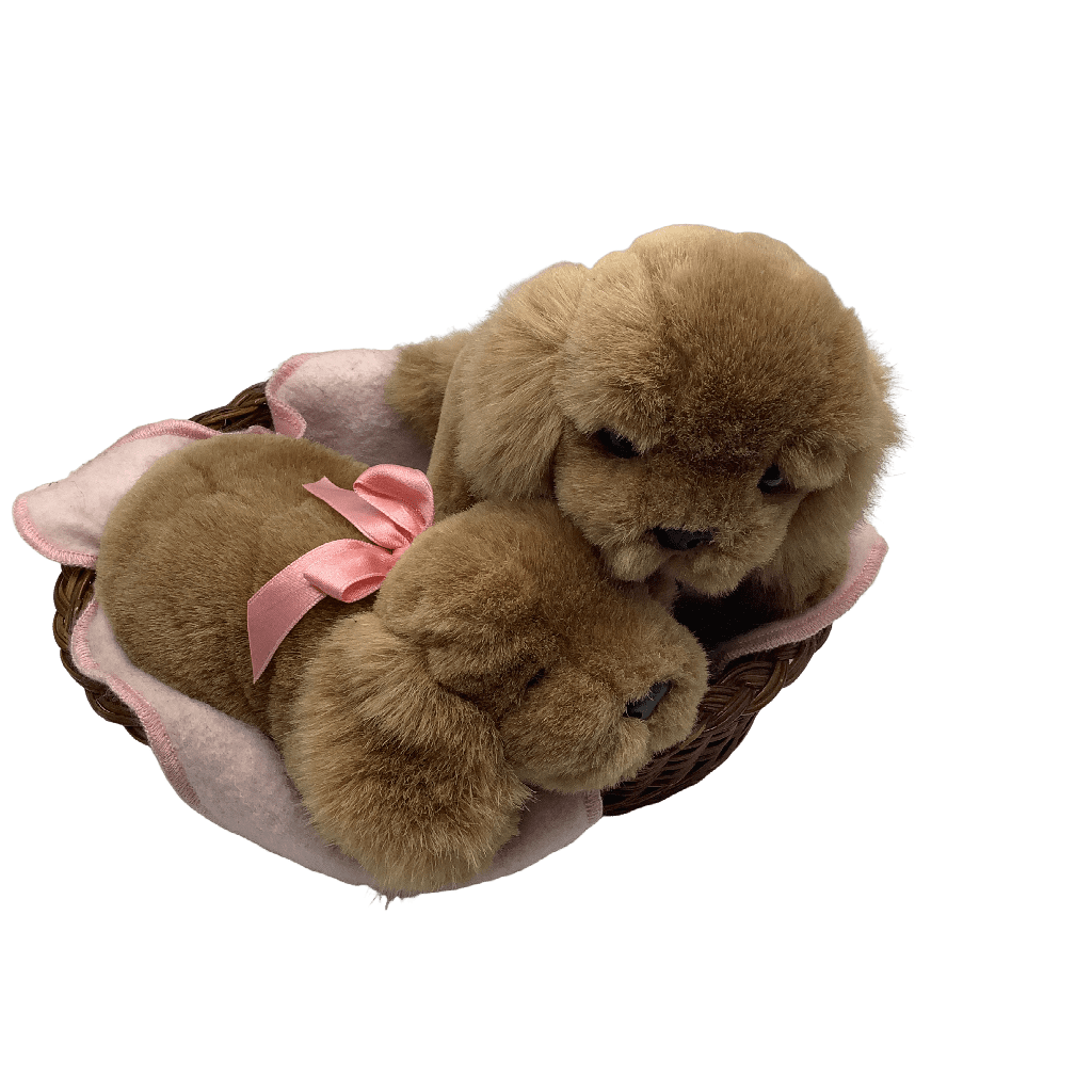 2 Peluches chien dans un panier 20cm - KIDIBAM