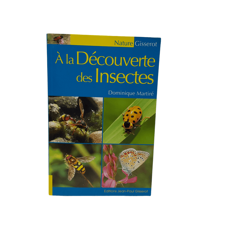 À la découverte des insectes - KIDIBAM