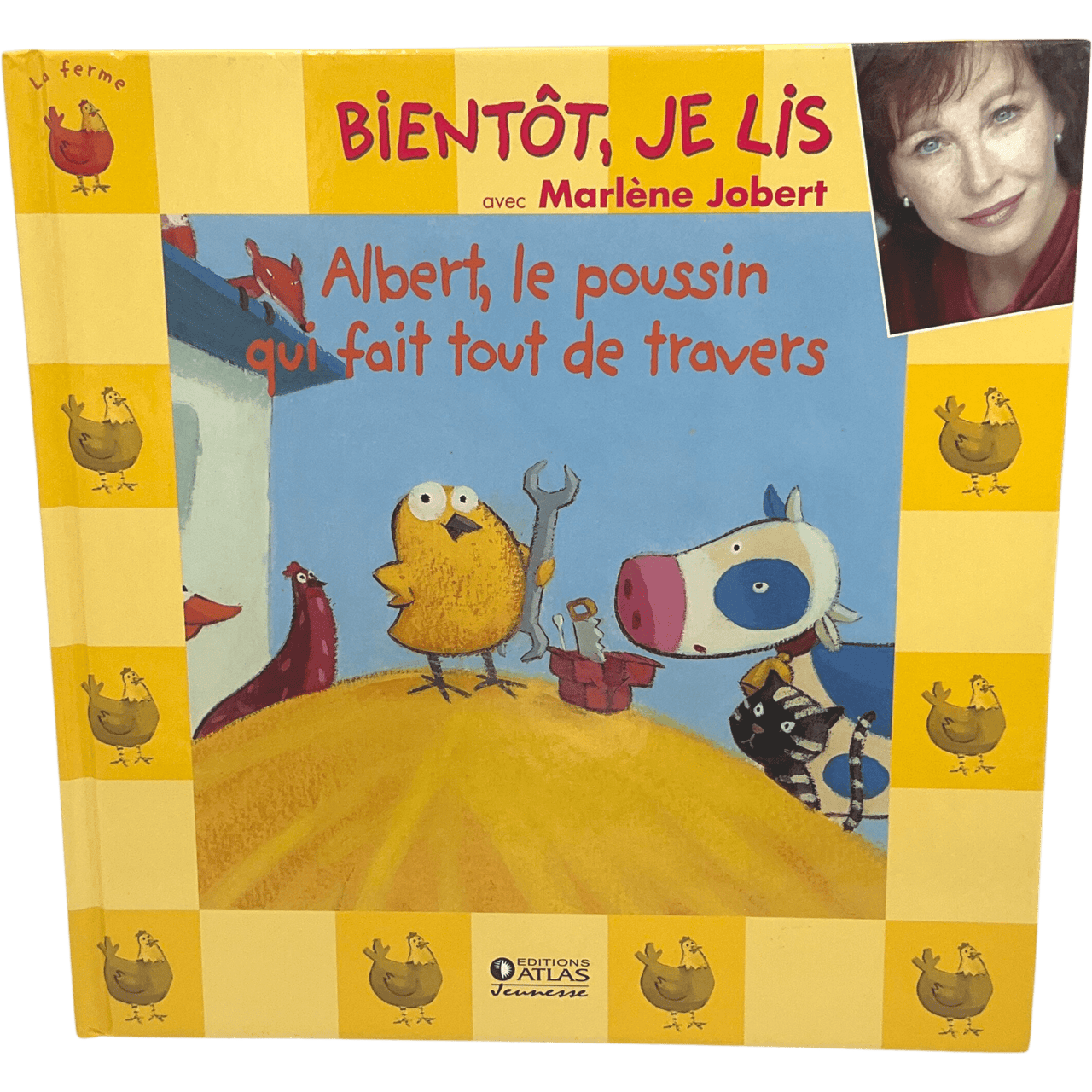 Albert, le poussin qui fait tout de travers - KIDIBAM