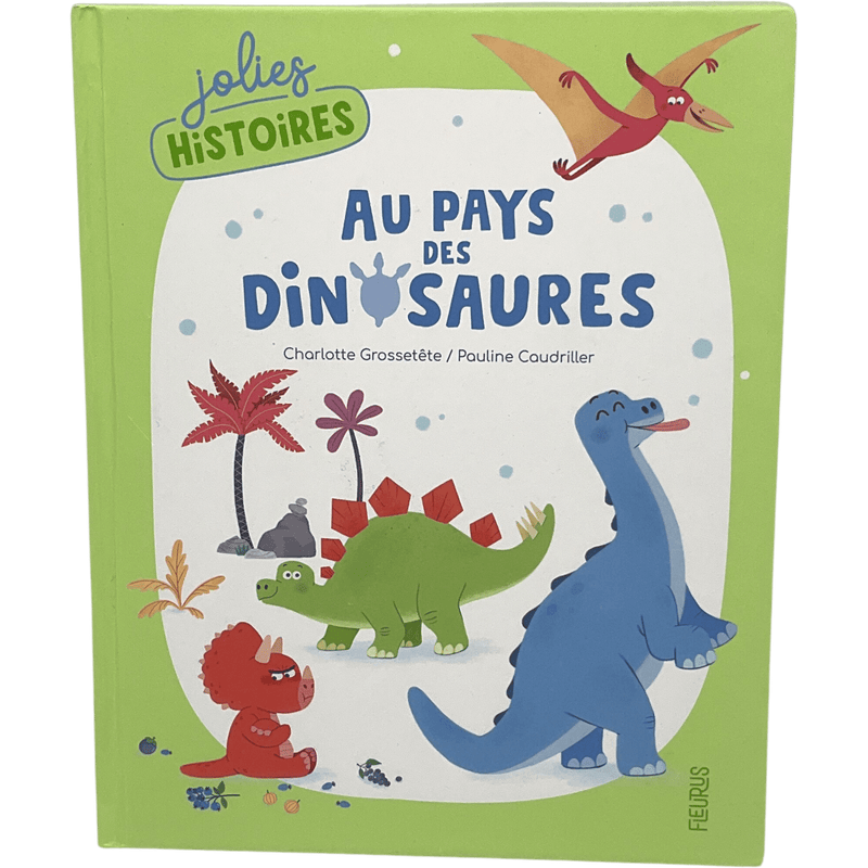 Au pays des dinosaures - KIDIBAM