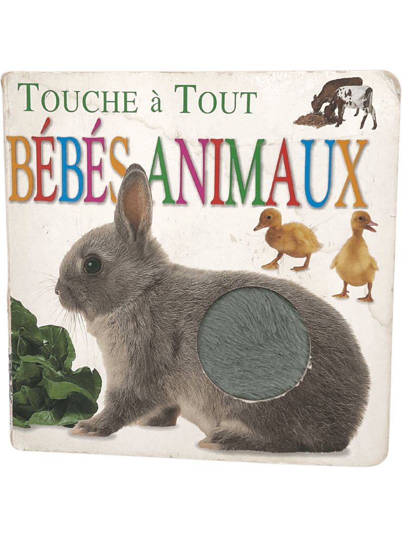 Bébés animaux - KIDIBAM