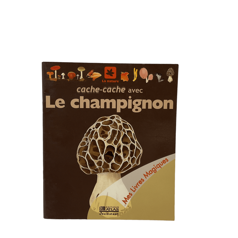 Cache - cache avec le champignon - KIDIBAM