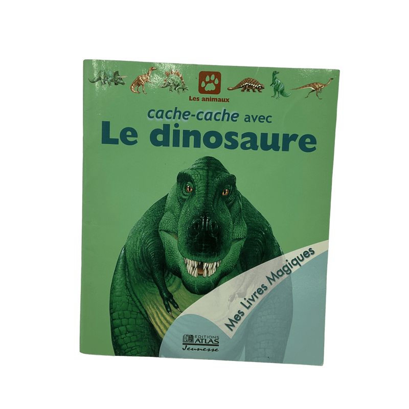 Cache - cache avec Le dinosaure - KIDIBAM