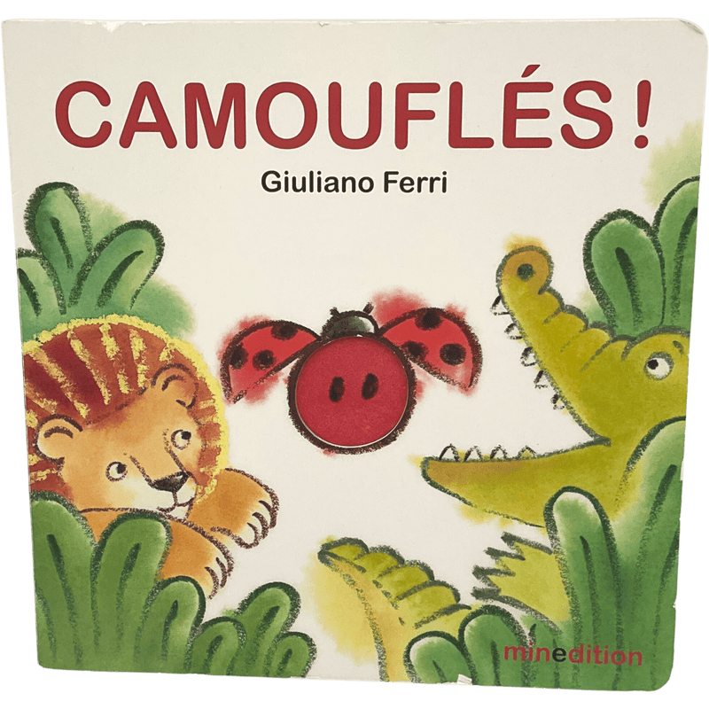 Camouflés ! - KIDIBAM