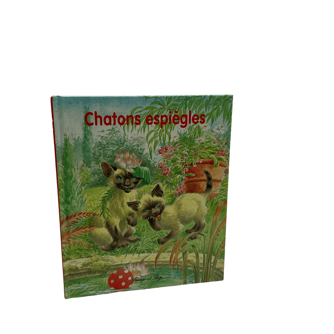 Chaton espiègle - KIDIBAM