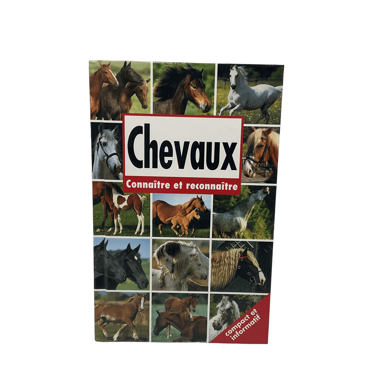 Chevaux Connaître et reconnaître - KIDIBAM