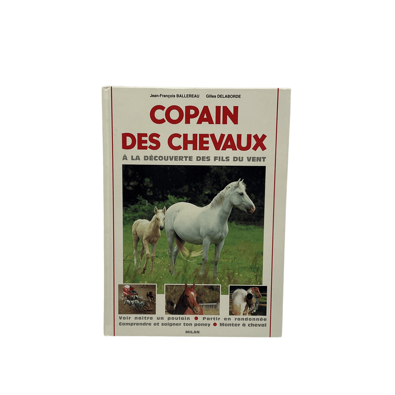 Copain Des Chevaux À la Découverte Des Chevaux - KIDIBAM