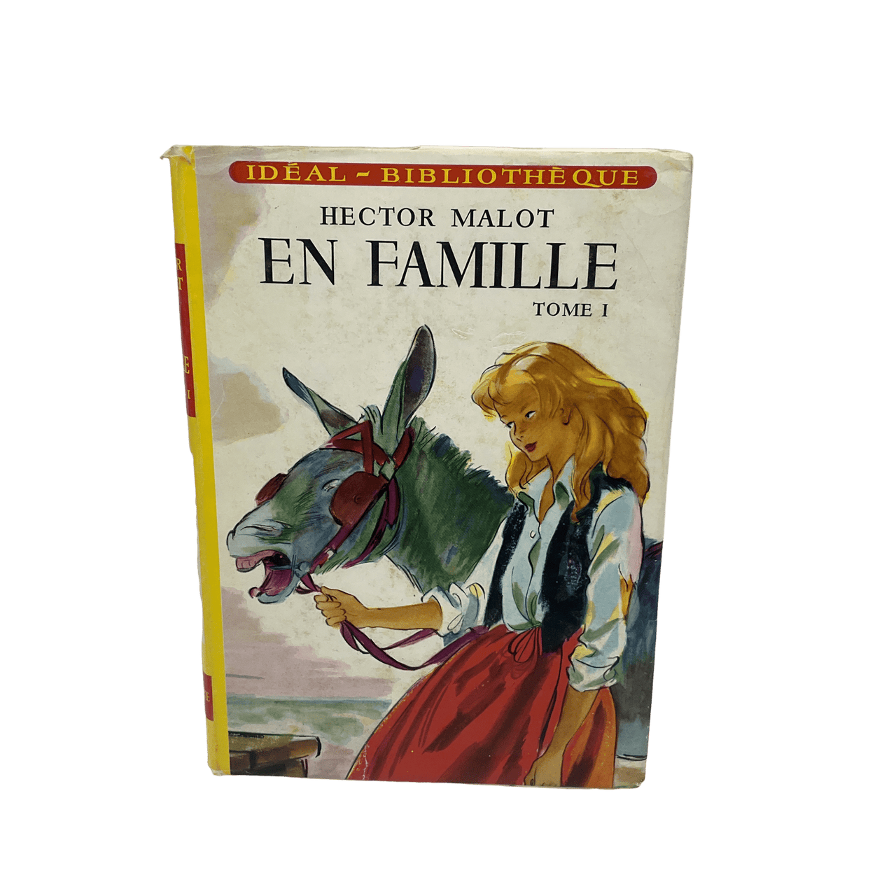 En famille - Tome 1 - KIDIBAM
