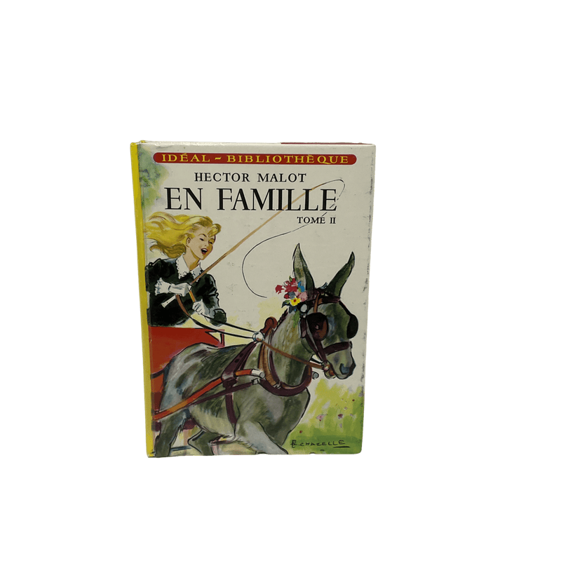 En Famille Tome II - KIDIBAM