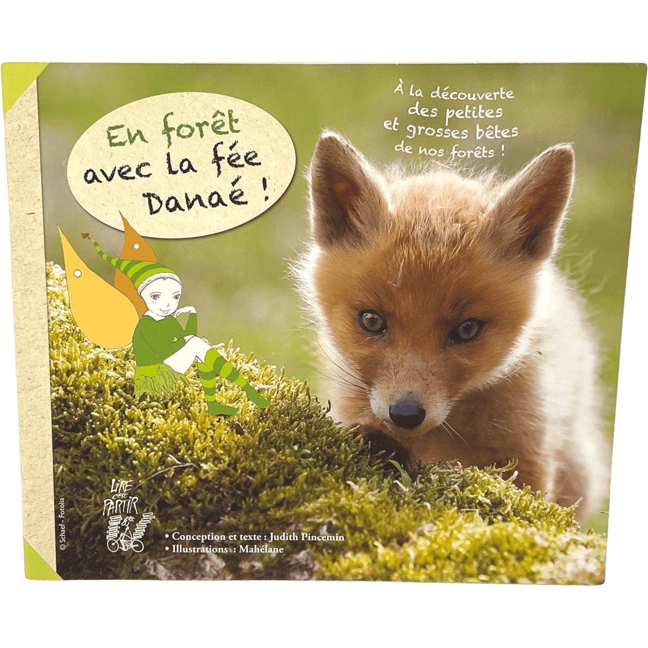 En forêt avec la fée Danaé - KIDIBAM