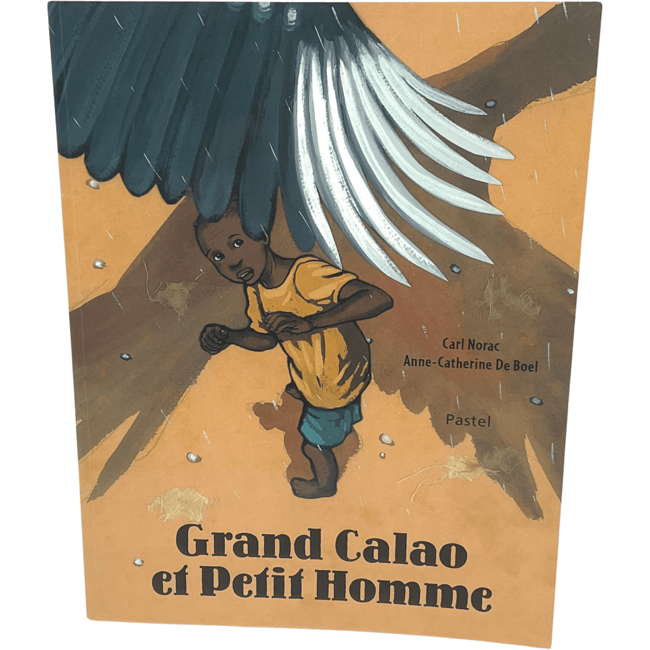 Grand Calao et petit homme - KIDIBAM