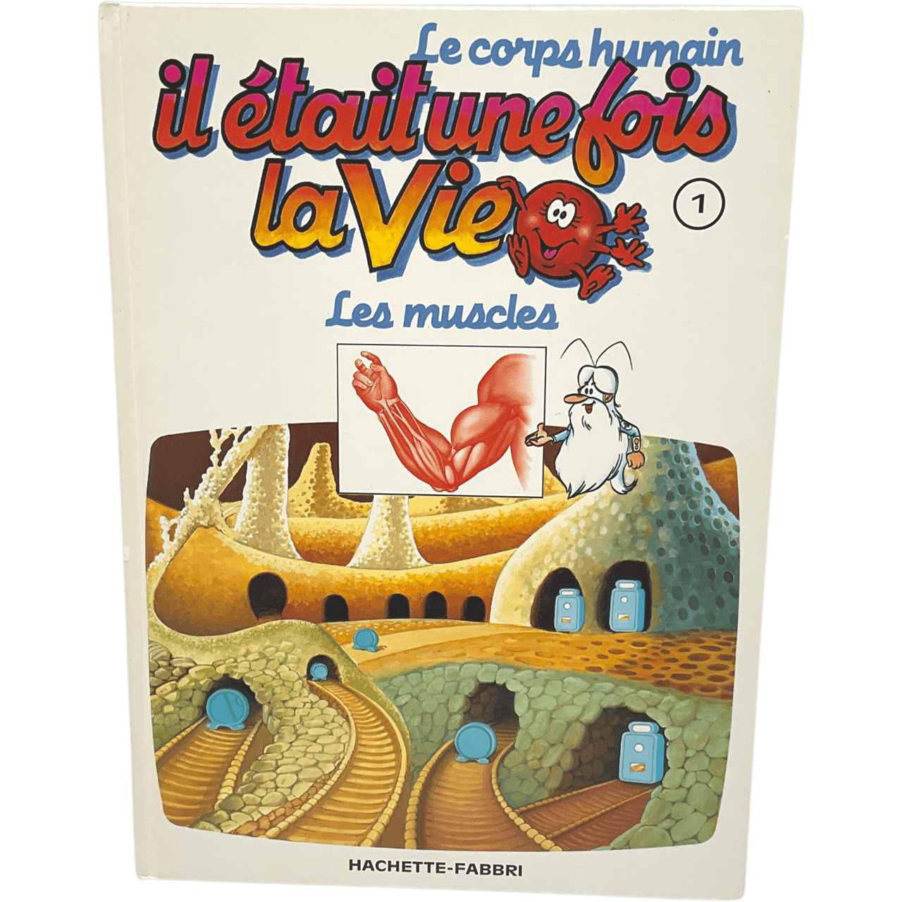 Il était une fois la vie - Tome 1 - Les muscles - KIDIBAM