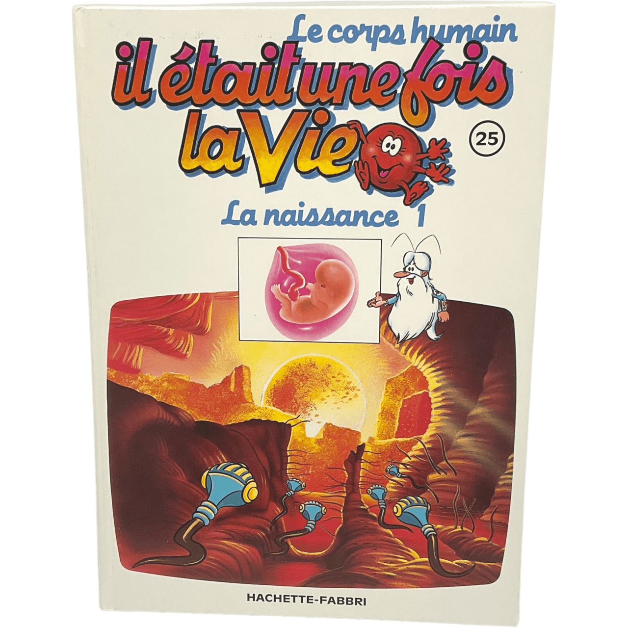 Il était une fois la vie - Tome 25 - La naissance 1 - KIDIBAM