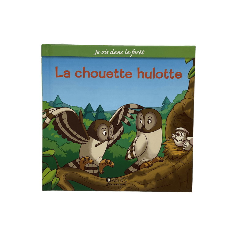 Je vis dans la forêt - La chouette hulotte - KIDIBAM