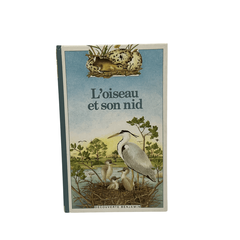 L' oiseau et son nid - KIDIBAM