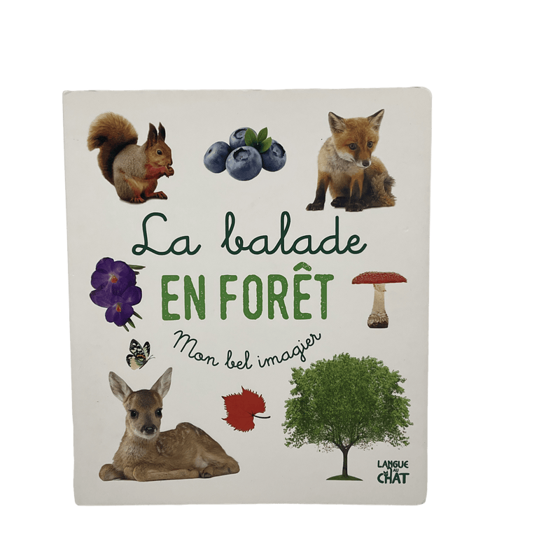 La balade en forêt - KIDIBAM