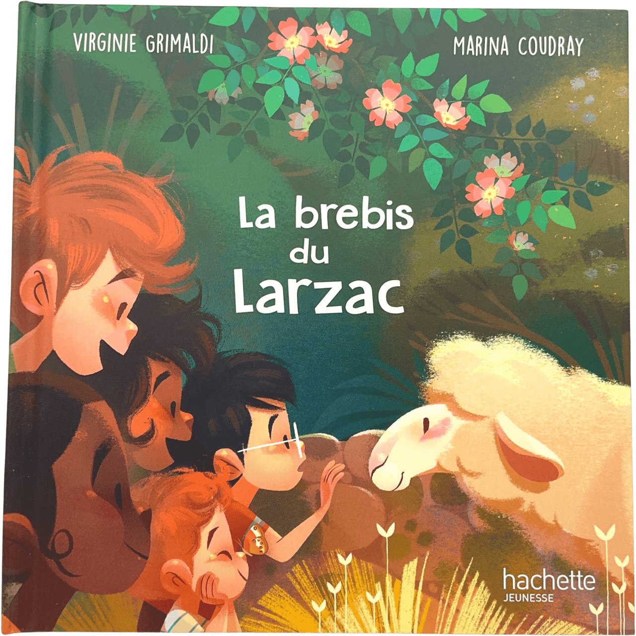 La brebis du Larzac - KIDIBAM