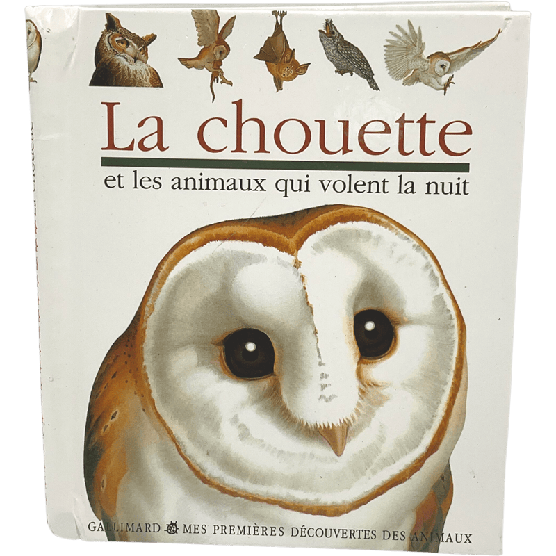 La chouette et les animaux qui volent la nuit - KIDIBAM