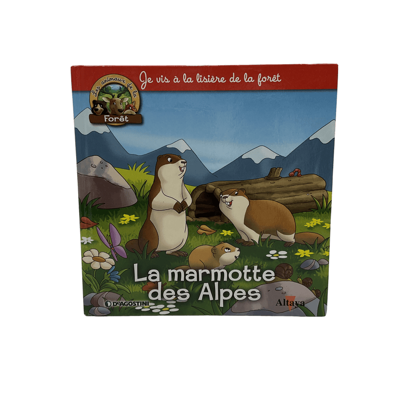 La marmotte des Alpes - KIDIBAM