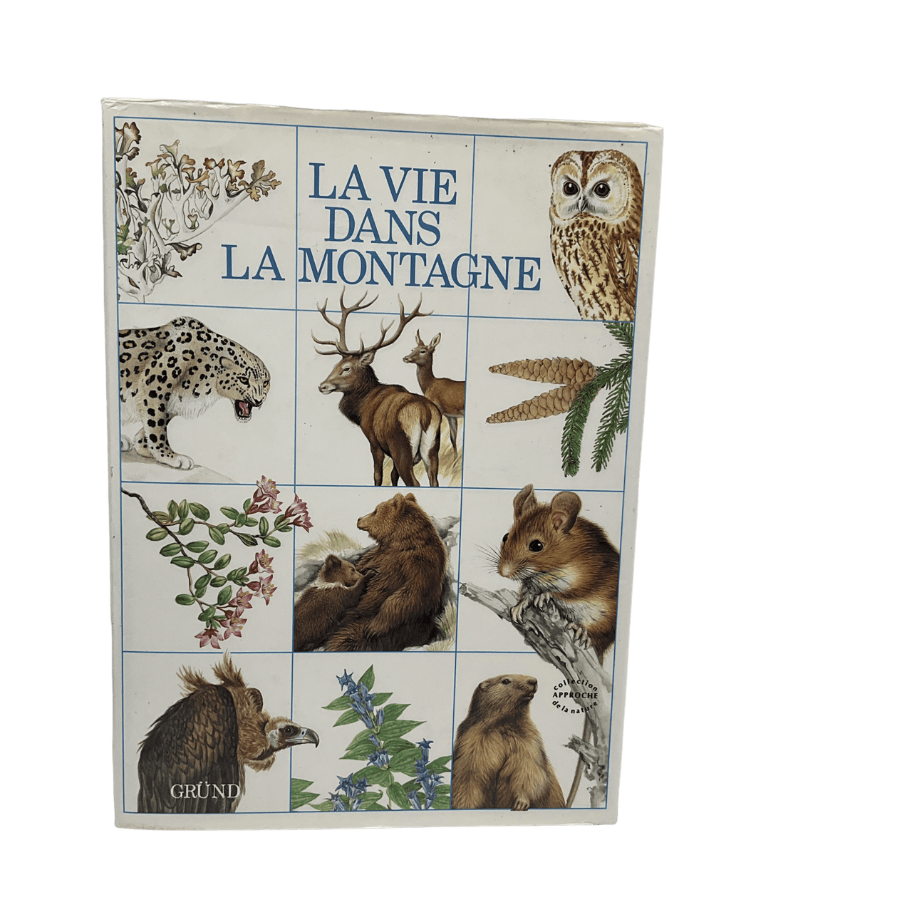 La vie dans la montagne - KIDIBAM