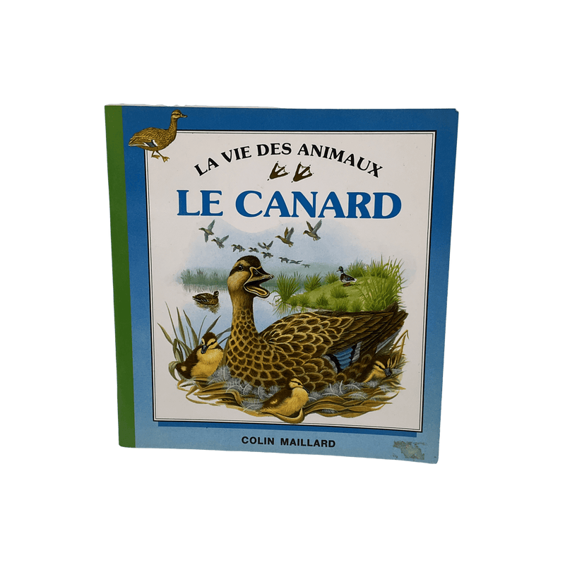 La vie des animaux -Le canard - KIDIBAM