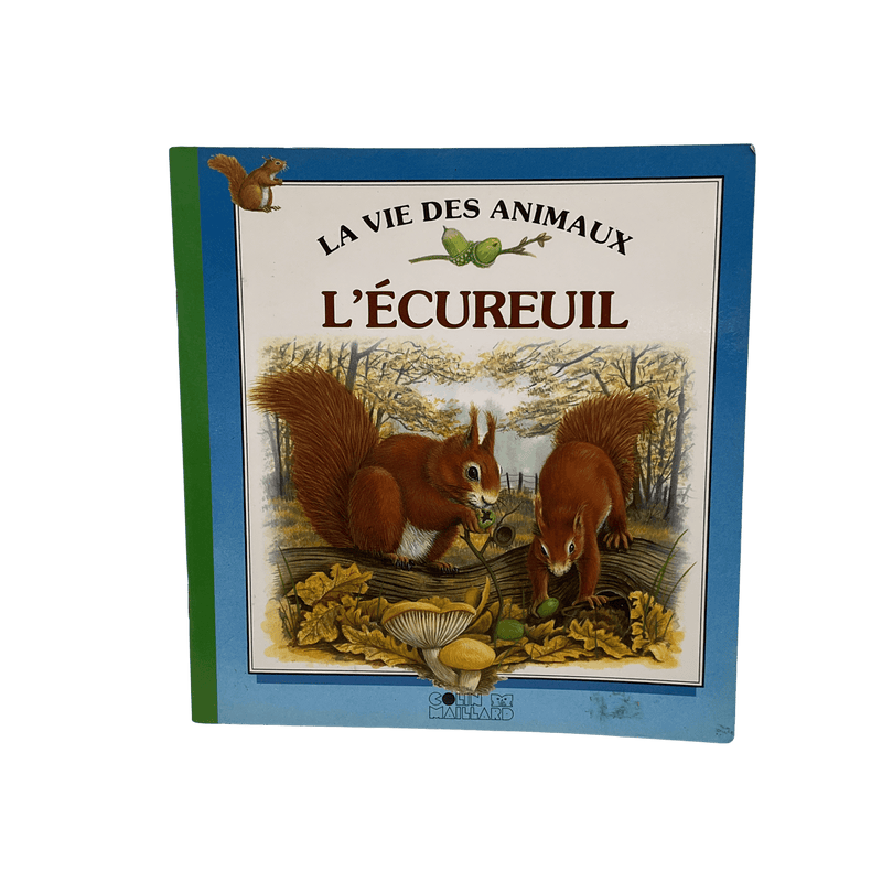 La vie des animaux - L'Ecureuil - KIDIBAM