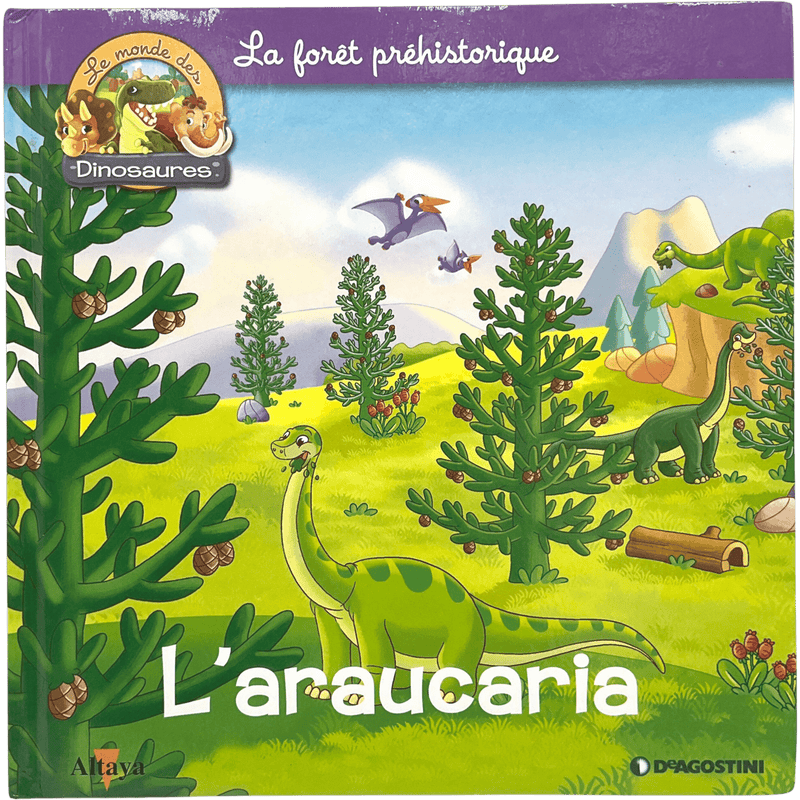 L'araucaria - KIDIBAM