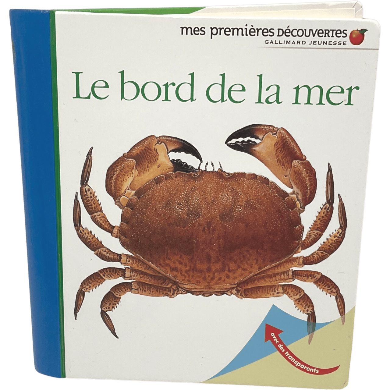 Le bord de la mer - KIDIBAM
