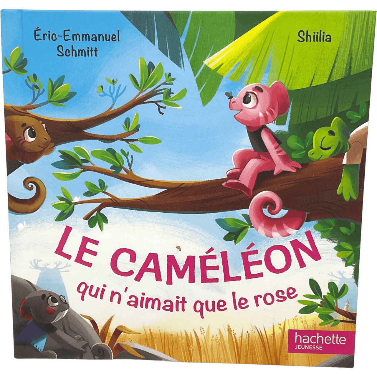 Le caméléon qui n'aimait que le rose - KIDIBAM