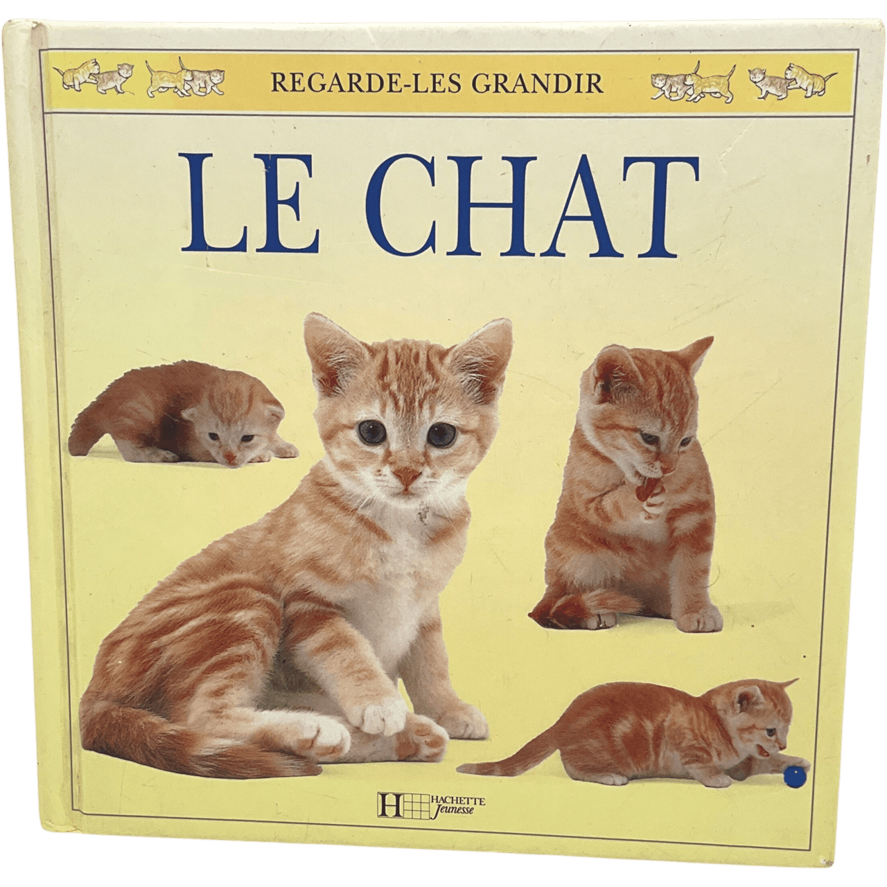 Le chat - KIDIBAM