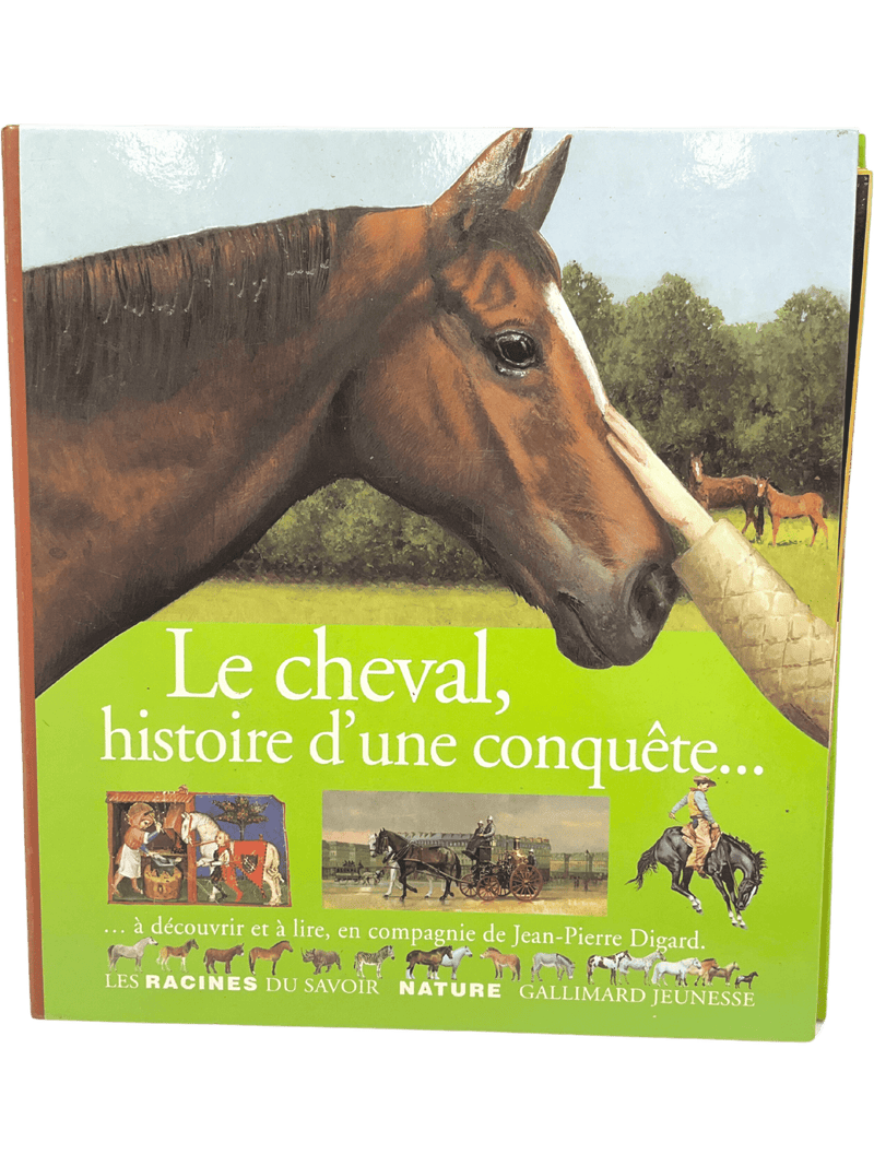 Le cheval, histoire d'une conquête... - KIDIBAM