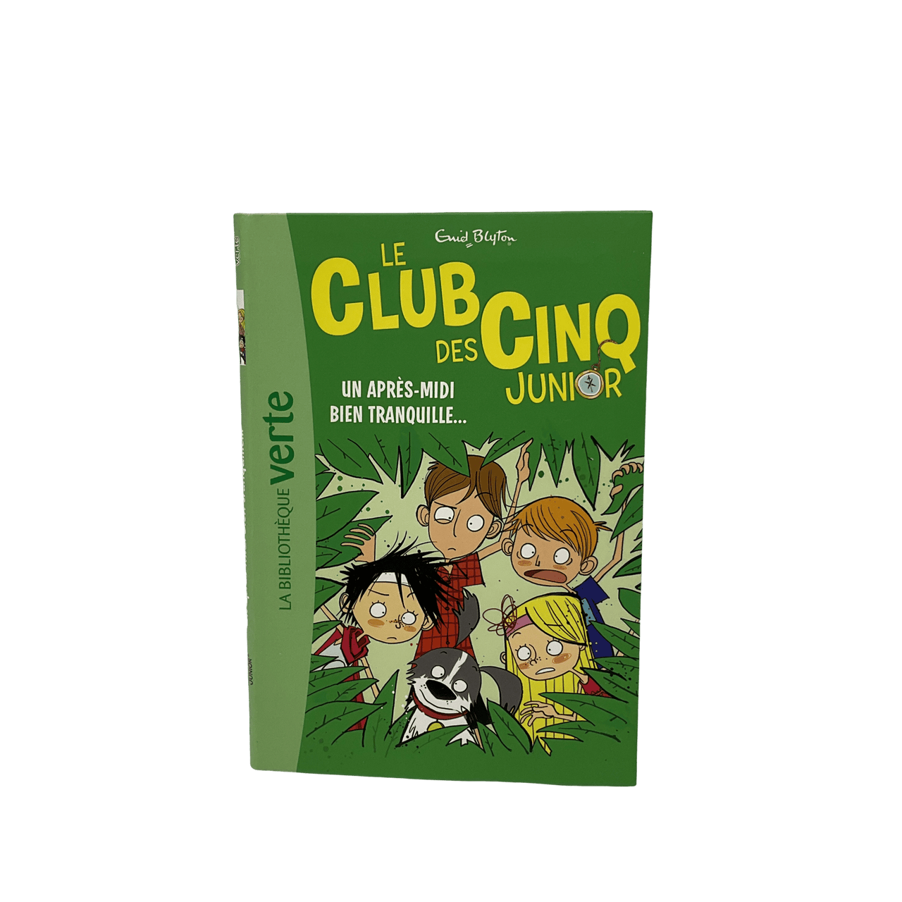 Le Club des Cinq Junior - Un après - midi bien tranquille... - KIDIBAM