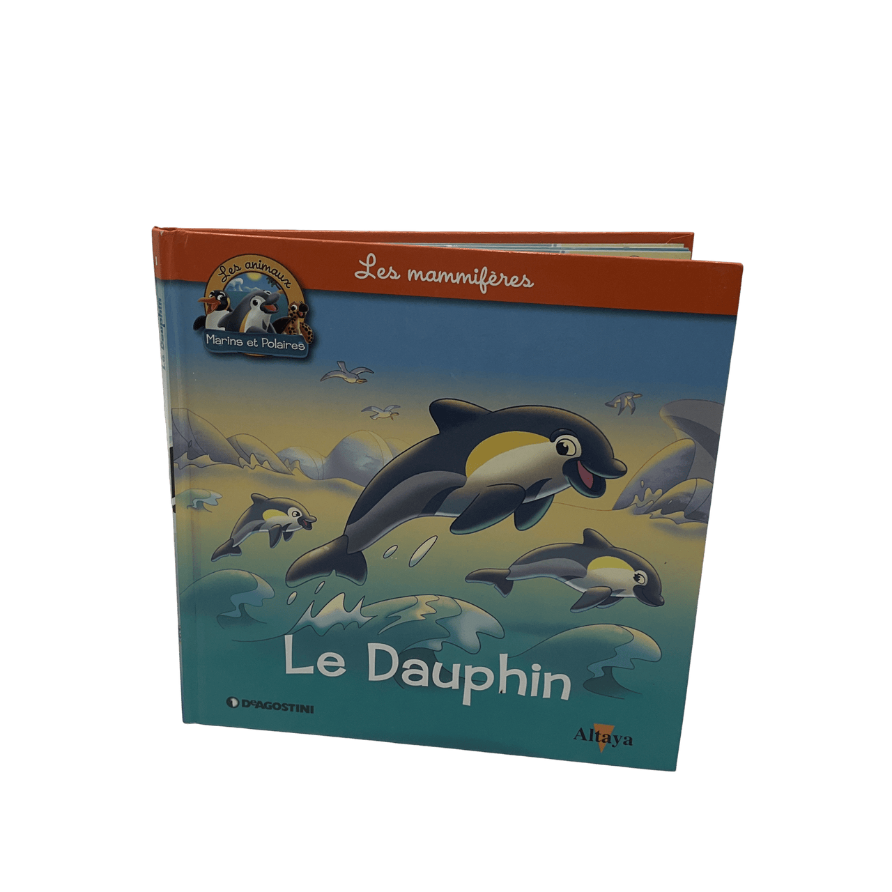 Le Dauphin - KIDIBAM