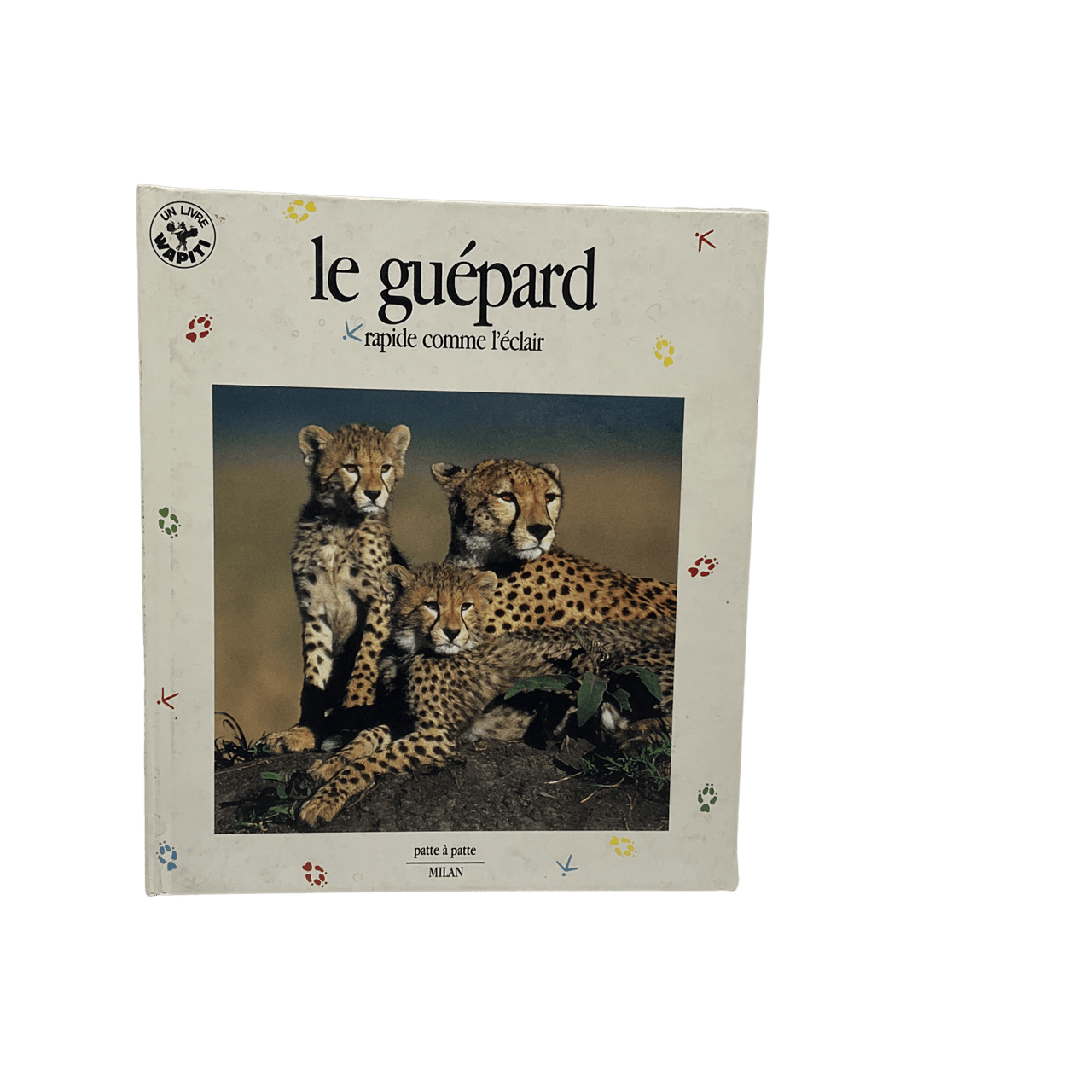 Le Guépard, rapide comme l'éclair - KIDIBAM