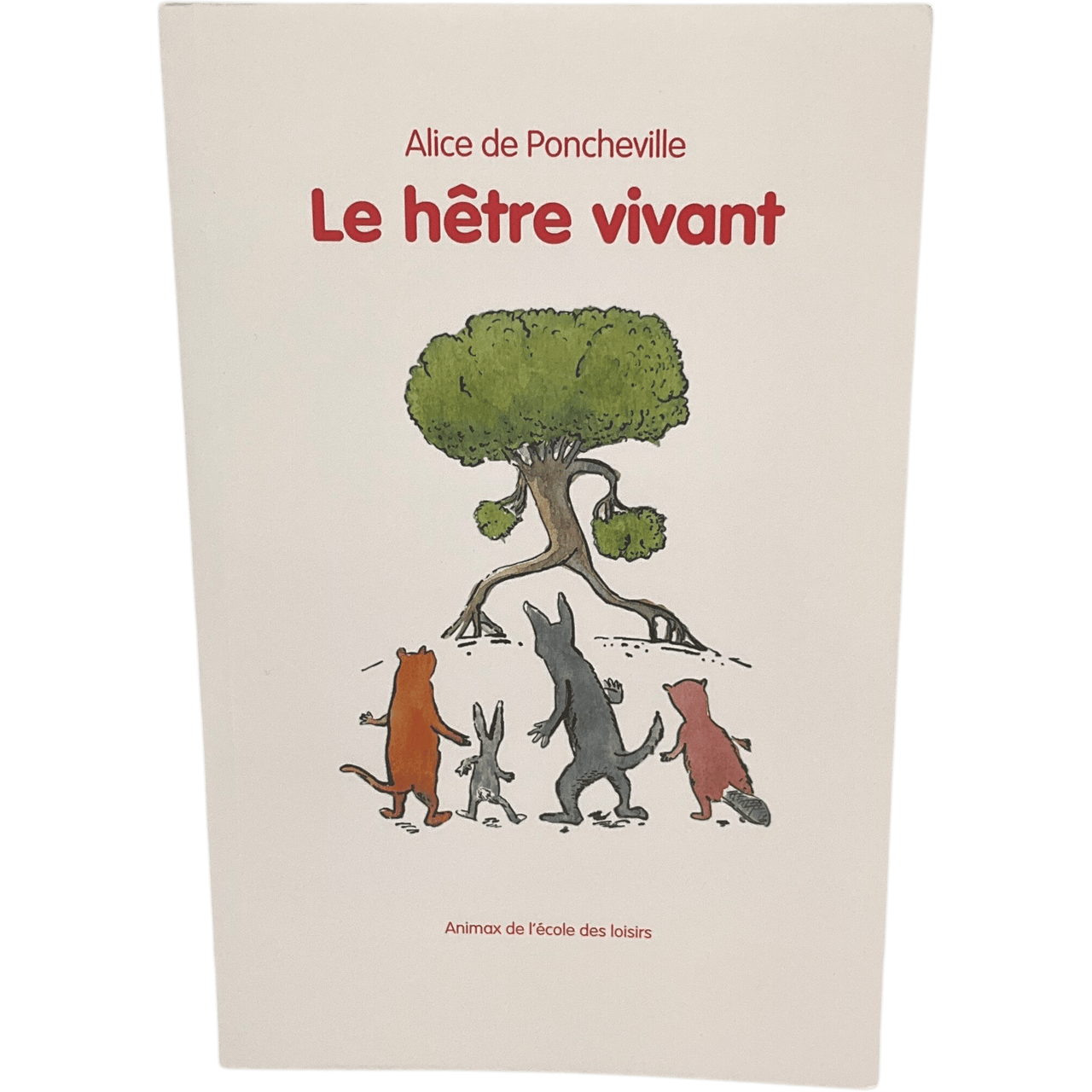 Le hêtre vivant - KIDIBAM