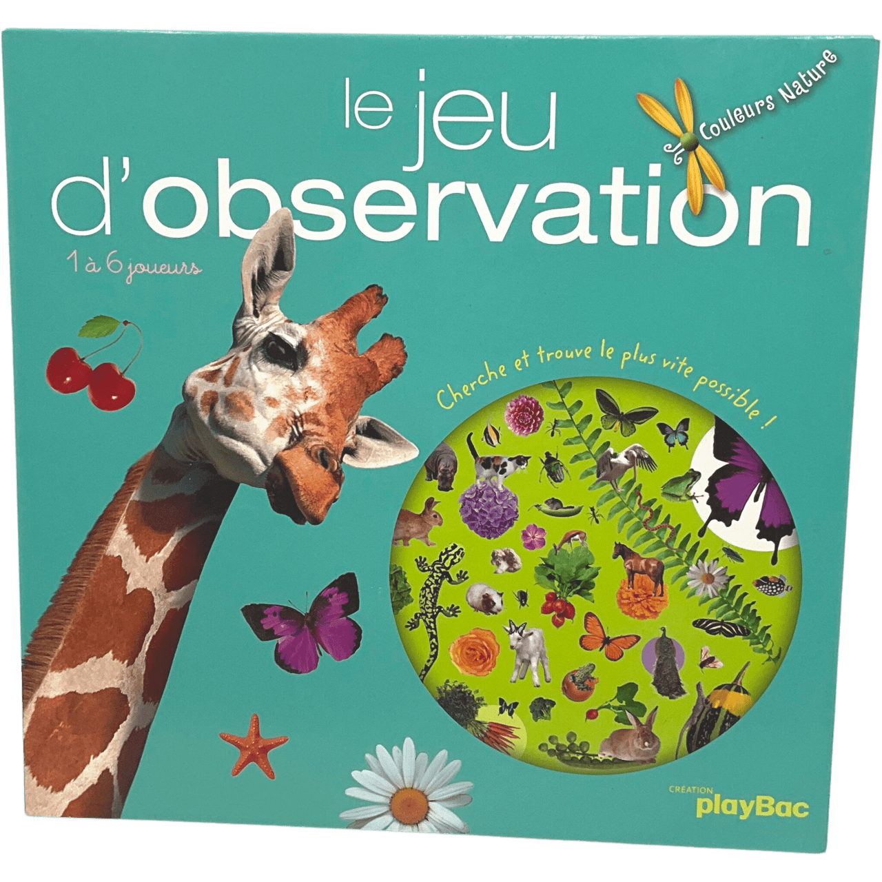 Le Jeu D'observation - KIDIBAM