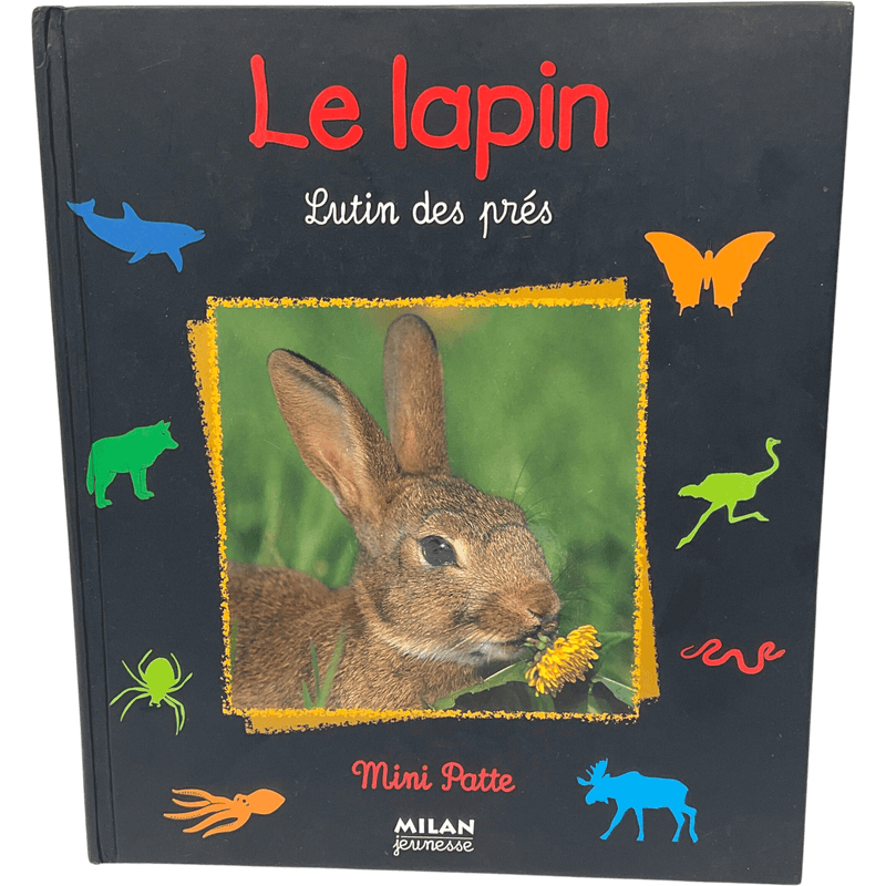 Le lapin Lutin des prés - KIDIBAM