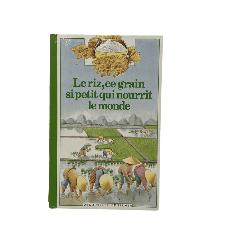 Le riz, ce grain si petit qui nourrit le monde - KIDIBAM