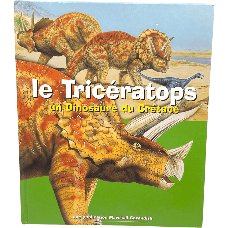 Le Tricératops - KIDIBAM