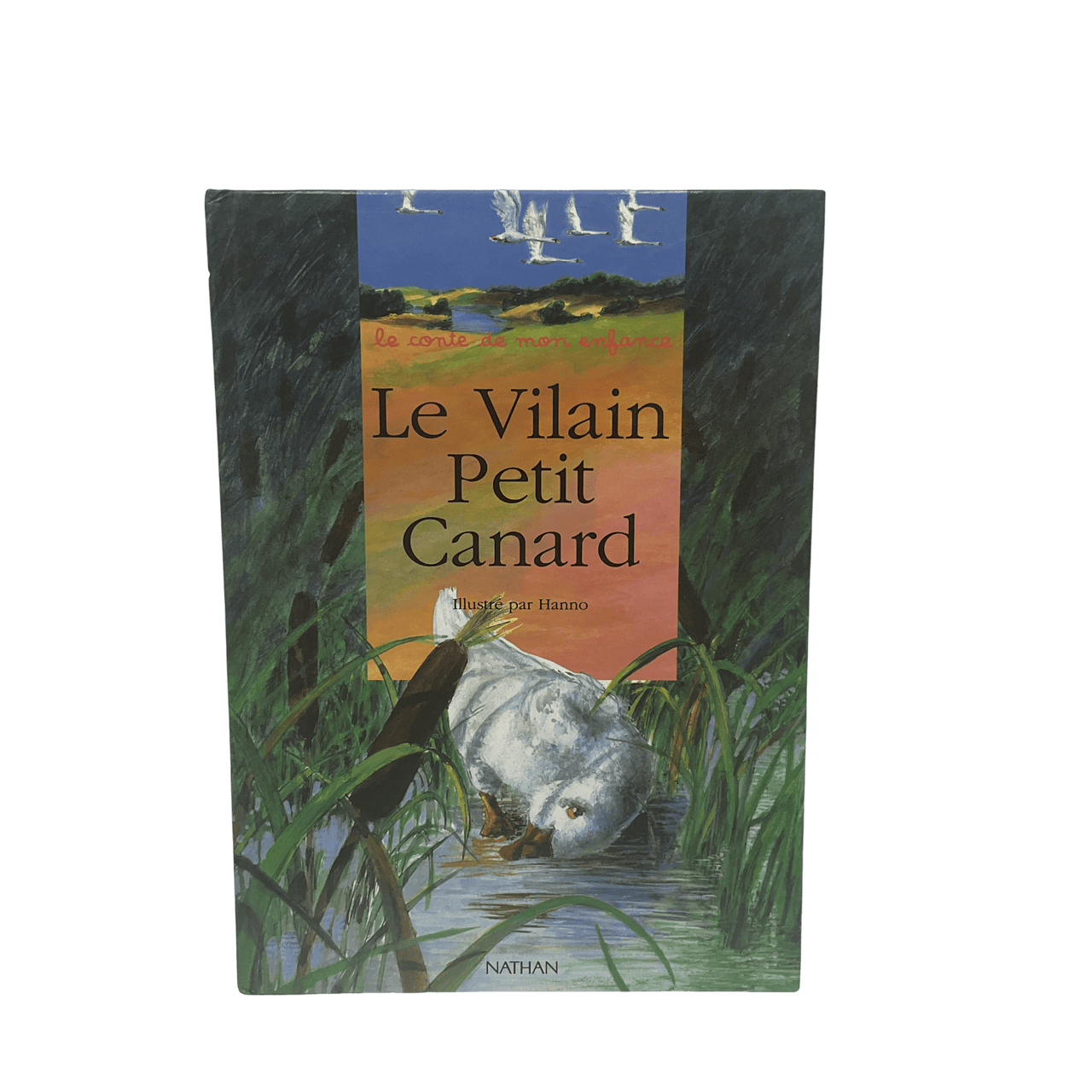 Le vilain petit canard - KIDIBAM