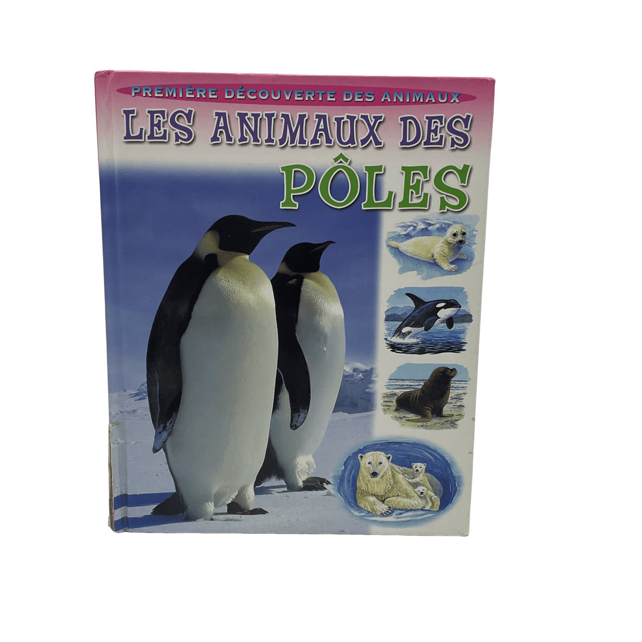 Les animaux des pôles - KIDIBAM