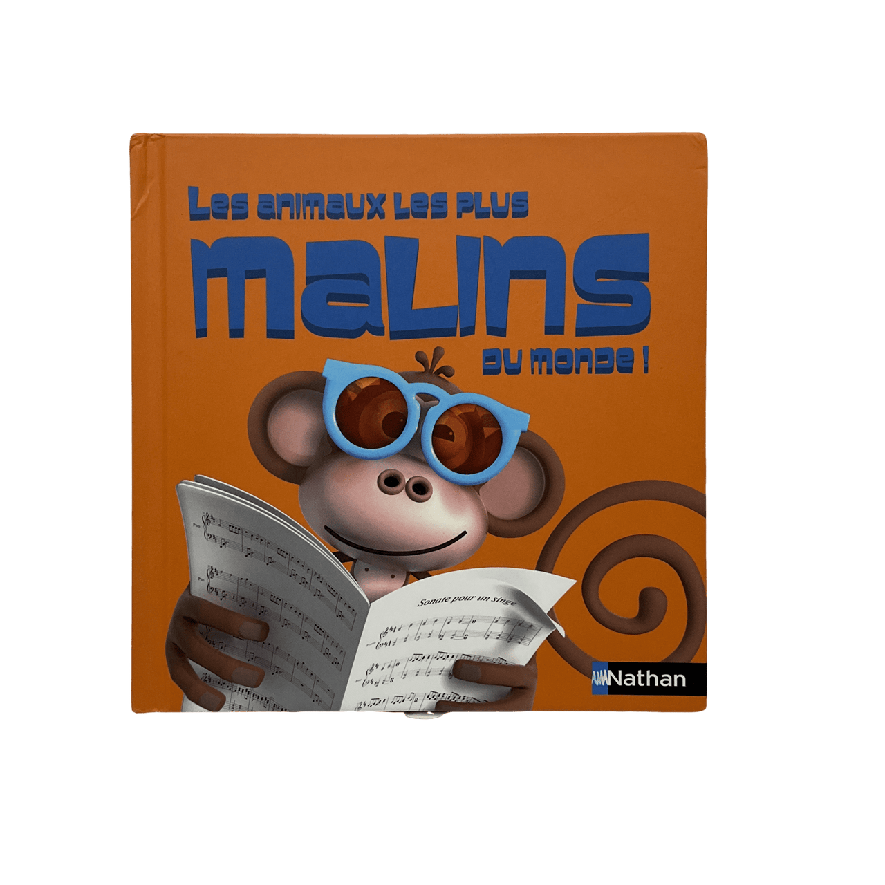 Les animaux les plus malins du monde - KIDIBAM