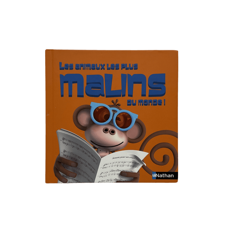 Les animaux malins du monde ! - KIDIBAM