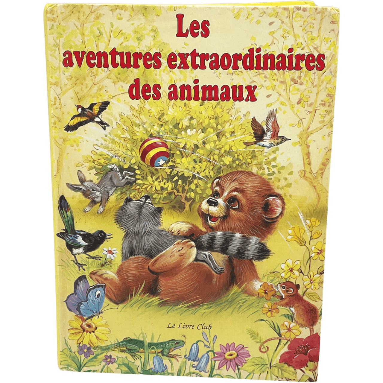 Les aventures extraordinaires des animaux - KIDIBAM