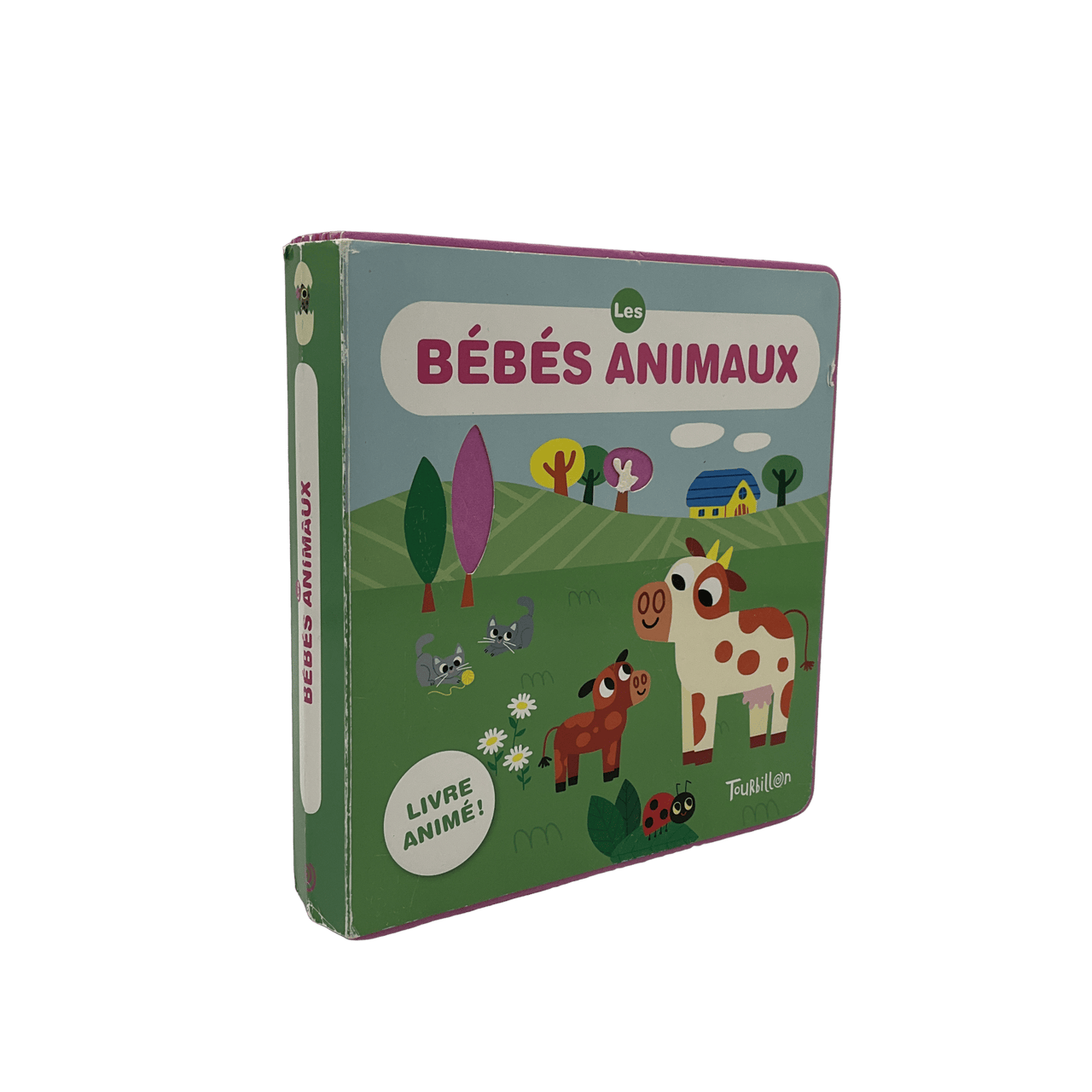 Les bébés animaux - KIDIBAM
