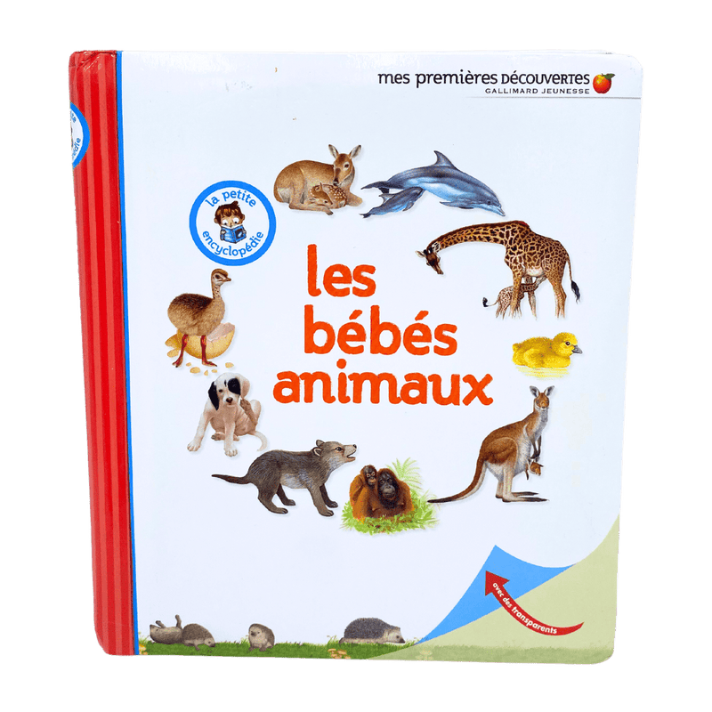 Les bébés animaux - KIDIBAM