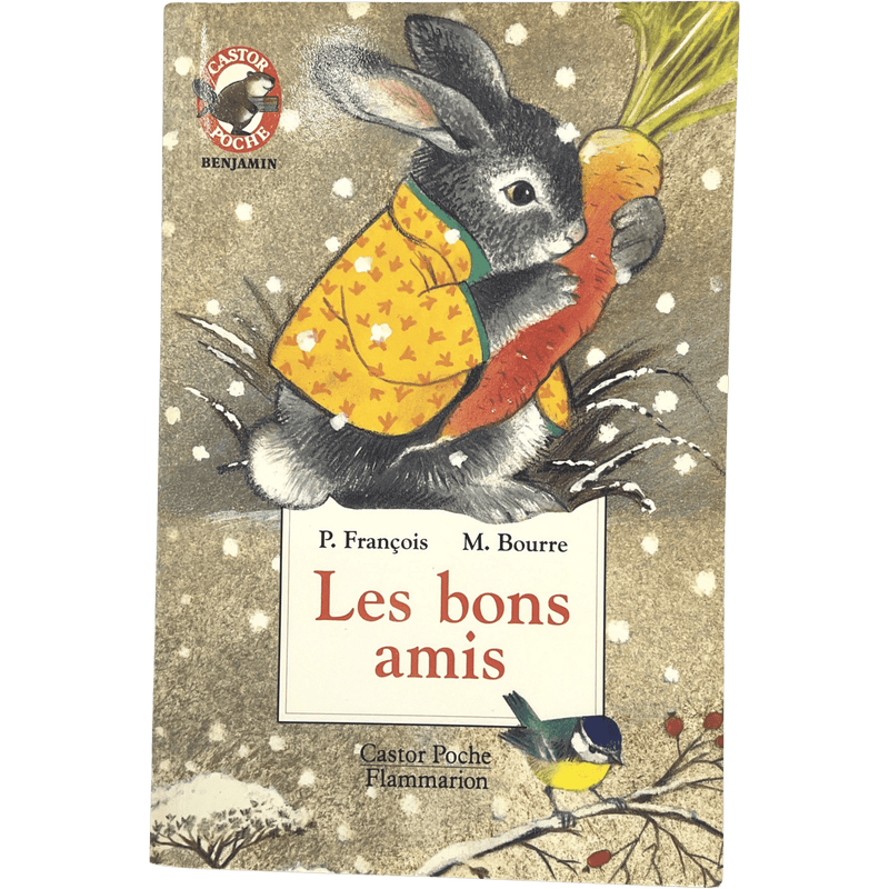 Les bons amis - KIDIBAM