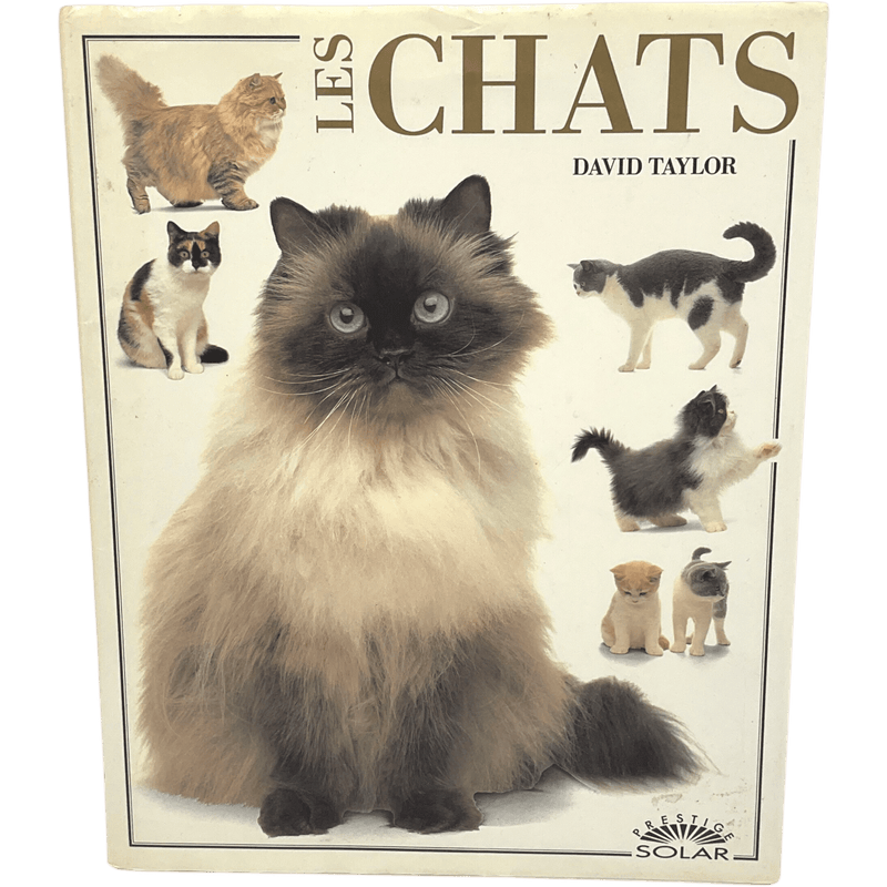 Les chats - KIDIBAM